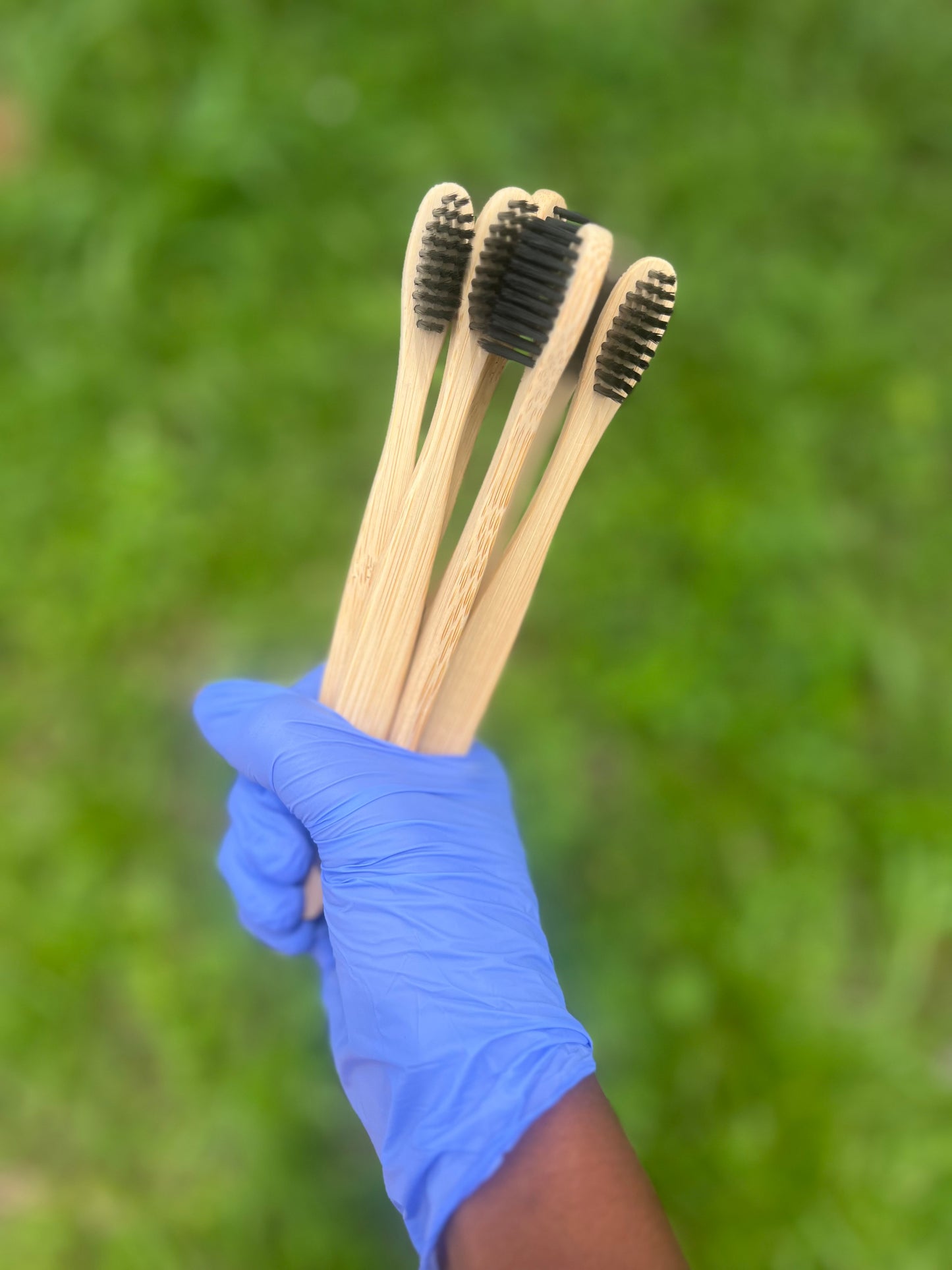 Bamboo Brushes