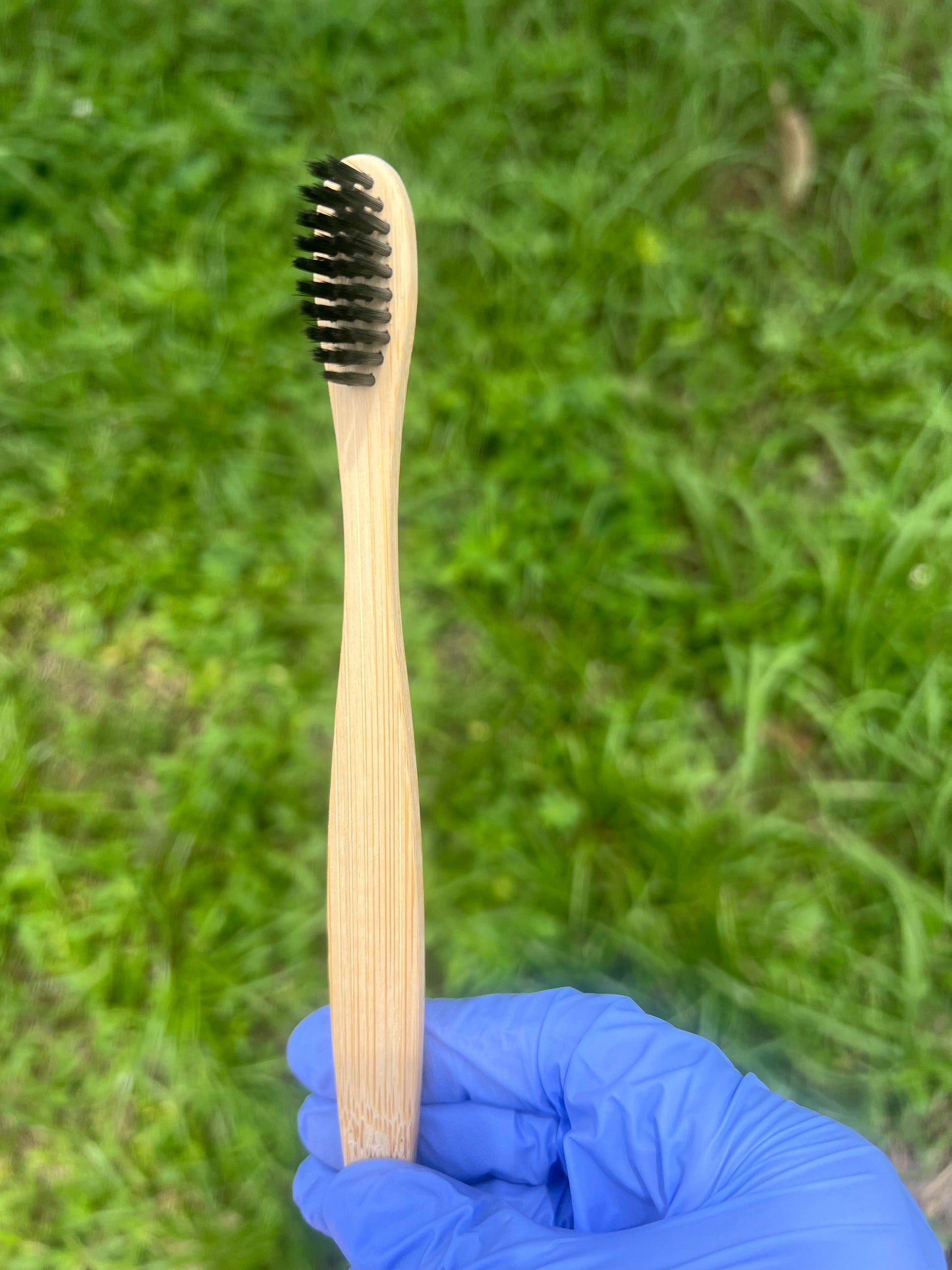 Bamboo Brushes