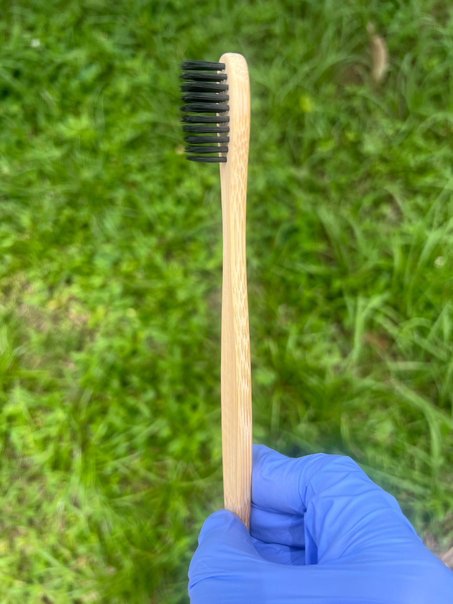 Bamboo Brushes