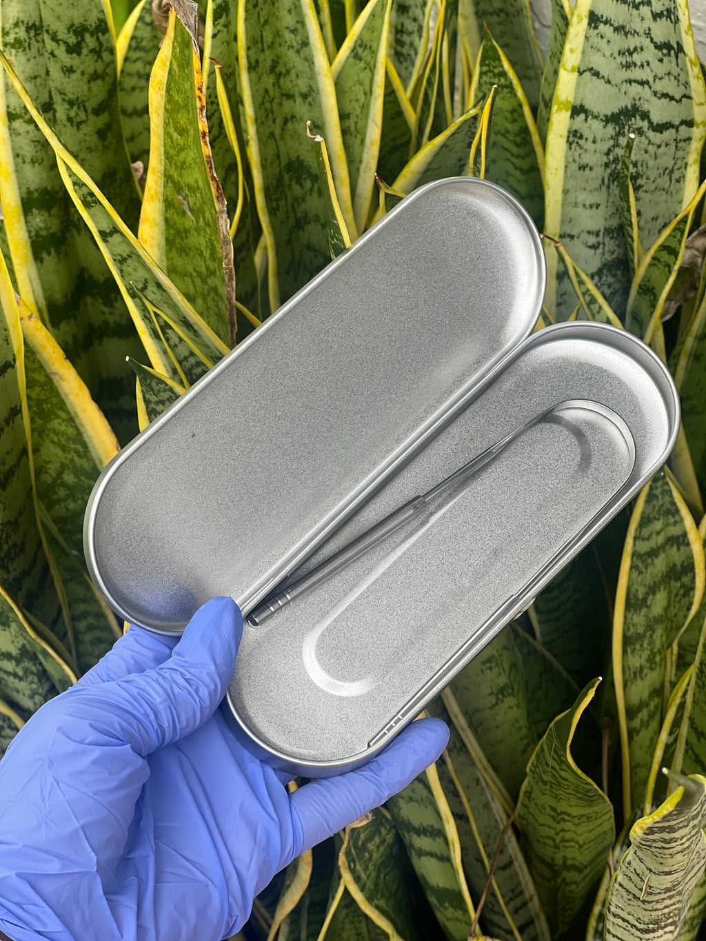 Wholesale Tongue Scrappers